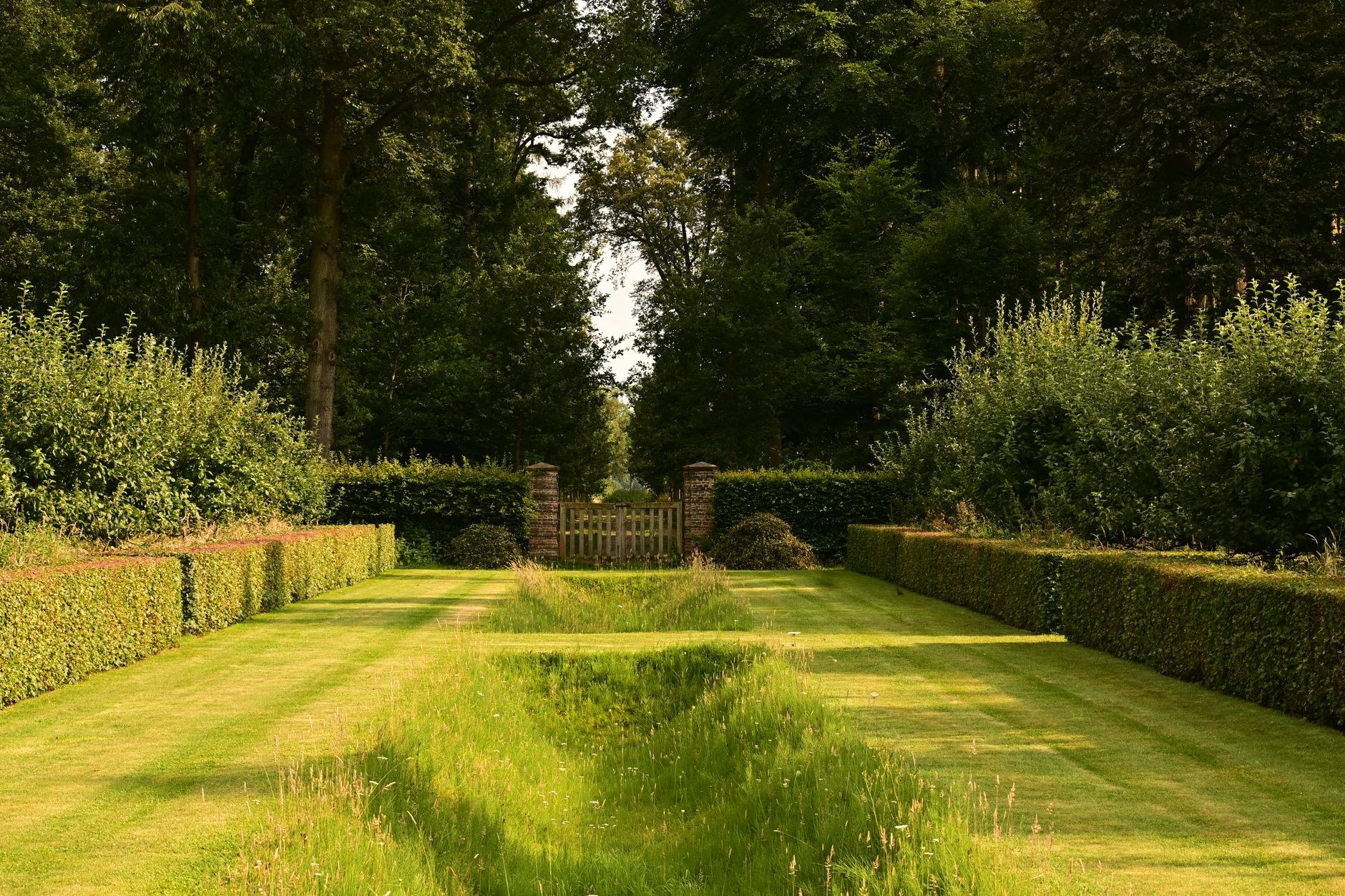 A mown lawn avenue between two tall, crisply clipped formal hedges leading to a garden gate