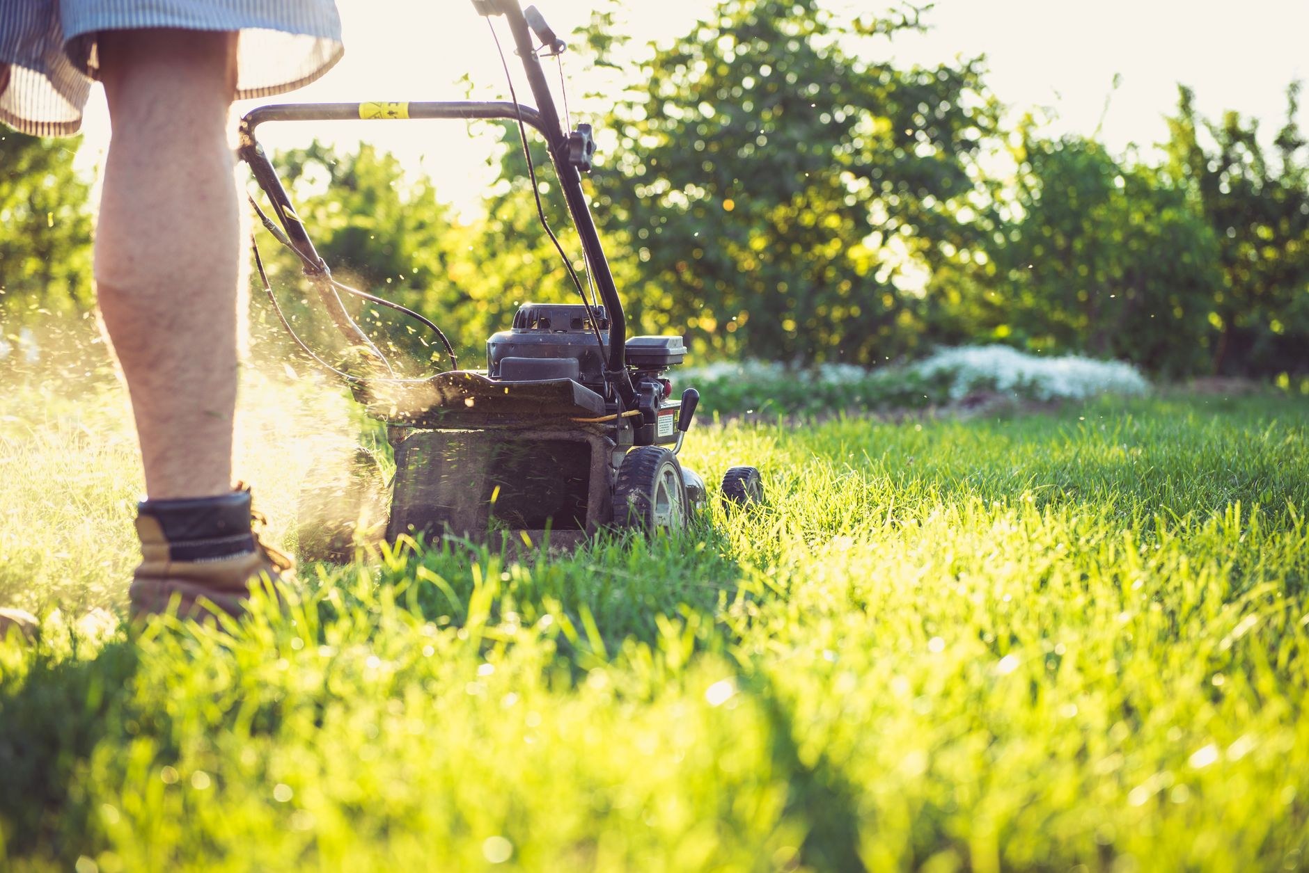 Camilo mowing a sunlit lawn
