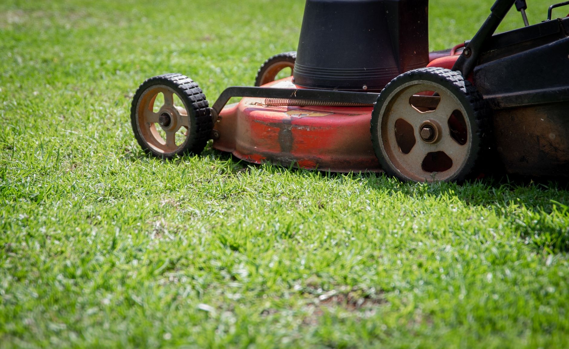 Neatly mown lawn with clean edges along a garden bed